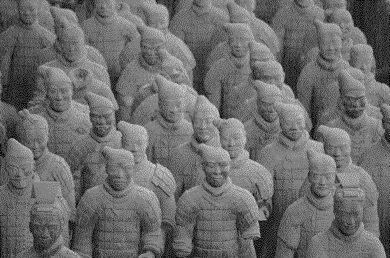 stonedudes