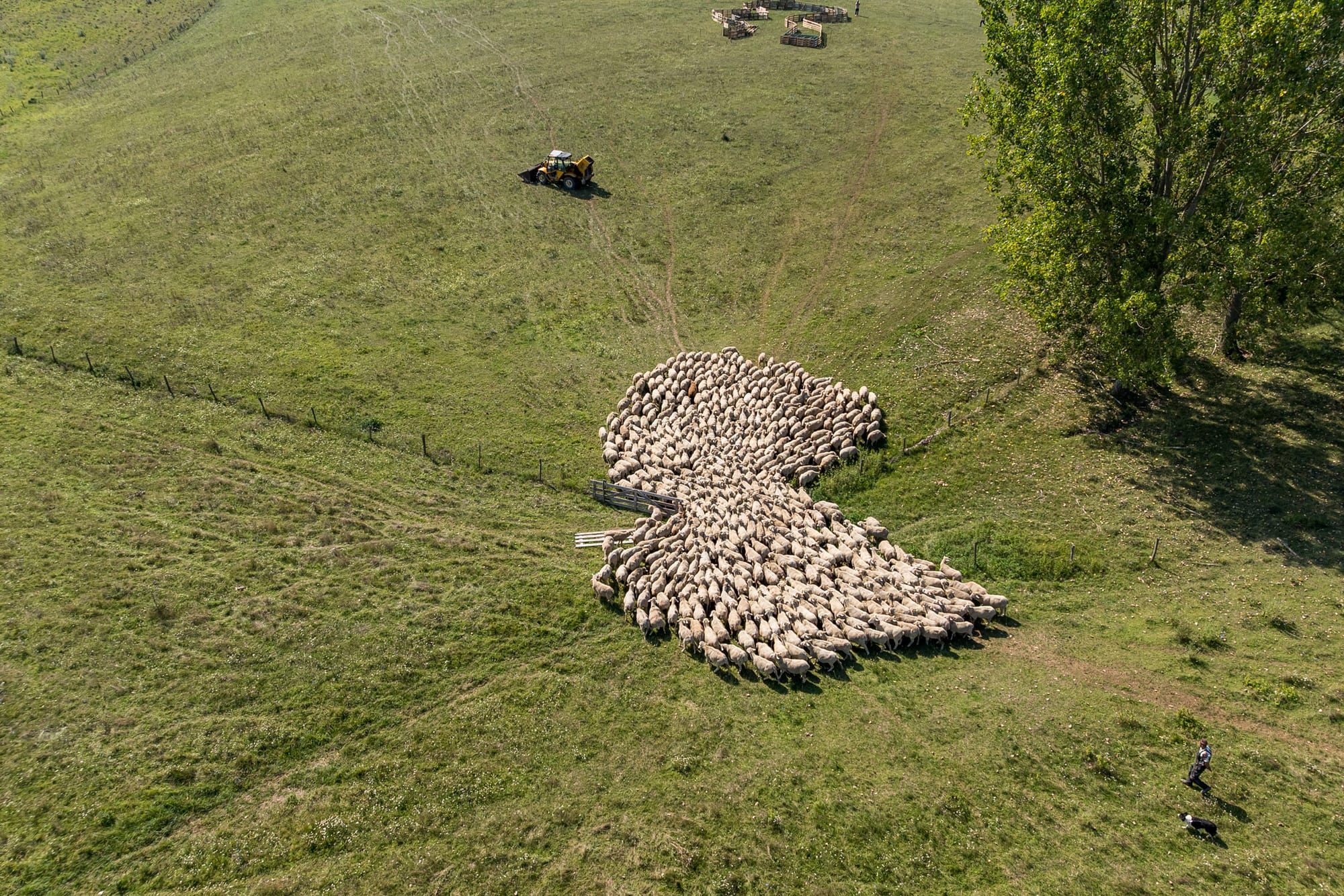 Csatlakozz a Remény Farm csapatához!