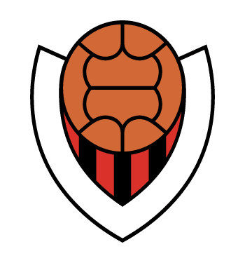 Ársreikningur Víkings 2024