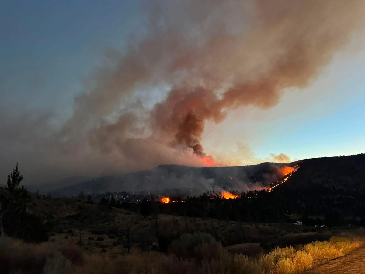 Grasshopper Fire