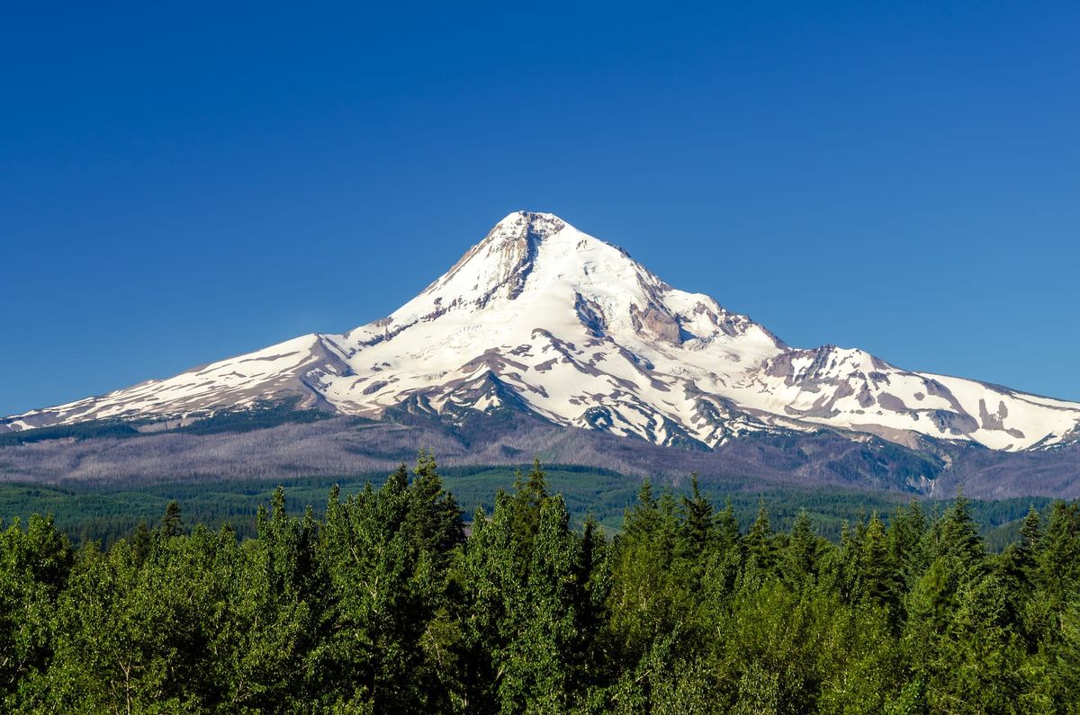 Forest Service News Release