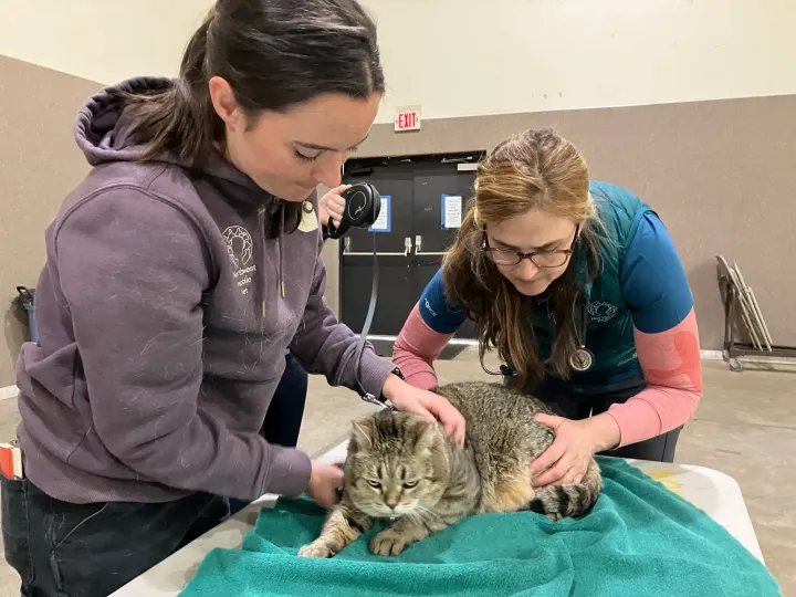 Hoodland Women’s Club sponsors vet clinic, road clean-up, golf tournament