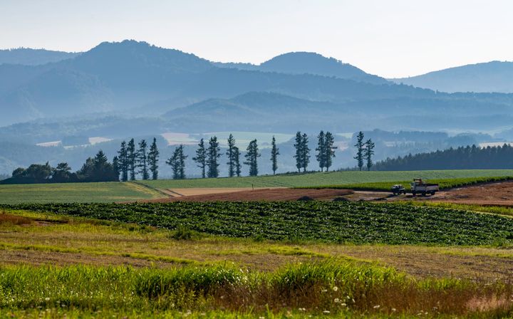 Family Farms Need Breathing Room, Not More Bureaucracy