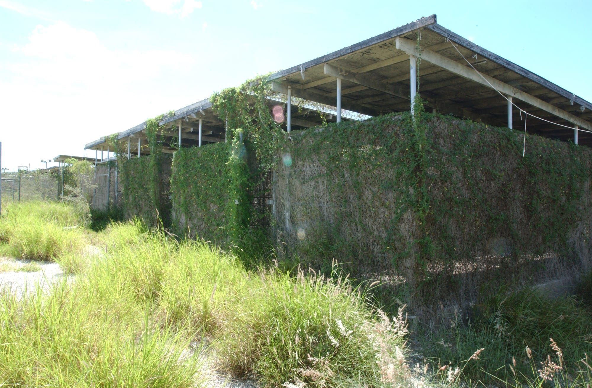 Trump’s Guantánamo Expansion for Migrants Reopens Old Wounds