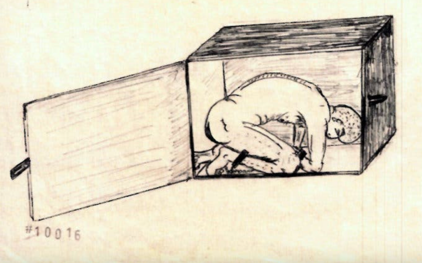 Torture Techniques from CIA Black Sites Were Used at Alligator Alcatraz