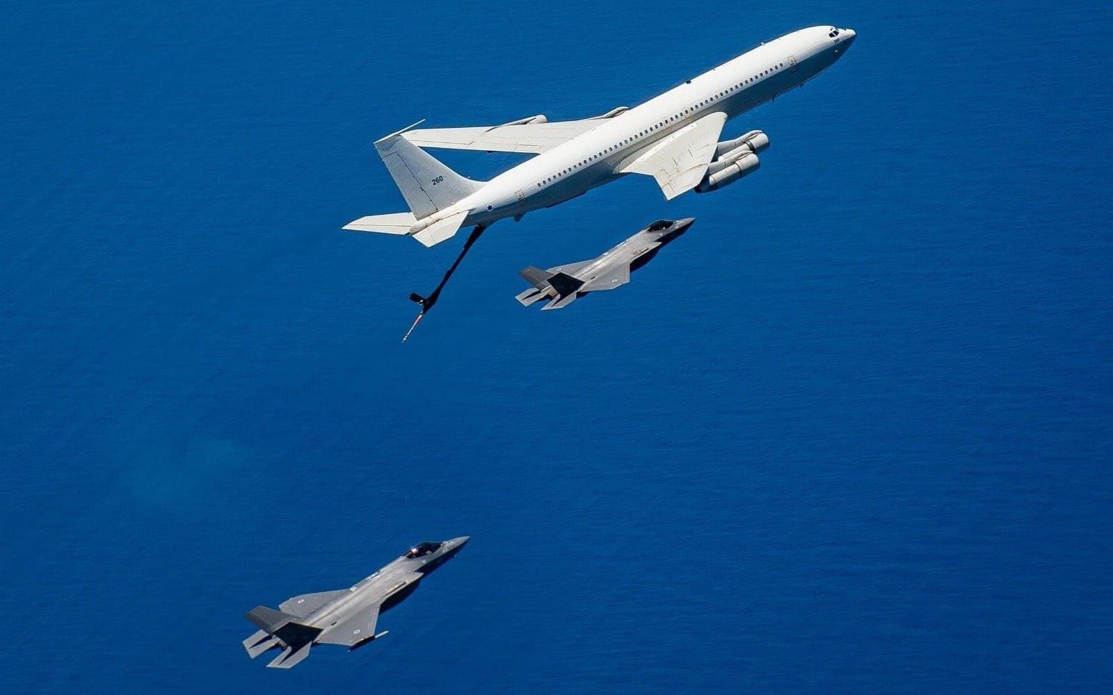 The Scent of Iranian Lavender