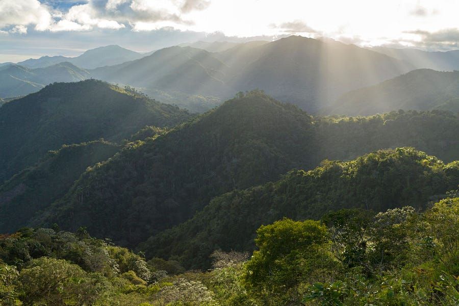 Strawberry Fields Forever