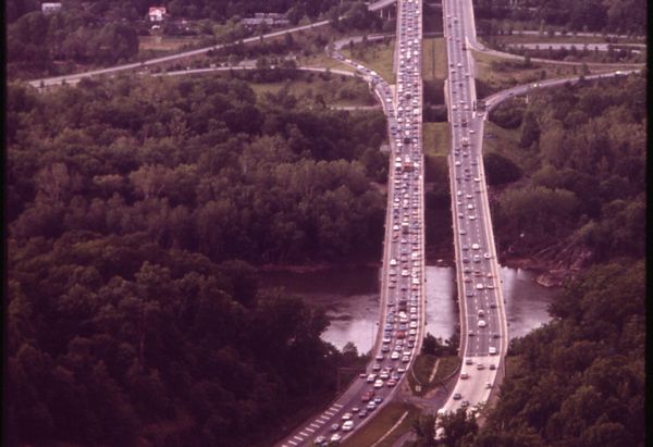 GUEST COLUMN! These Cabinet Picks Make Me Wonder If Trump Is Serious About Peace