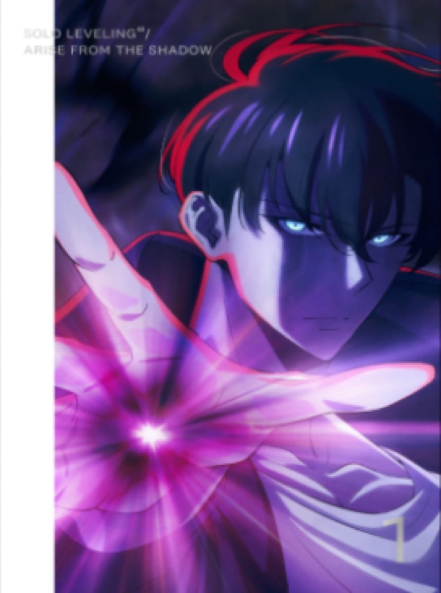 Solo Leveling anime shadow monarch army