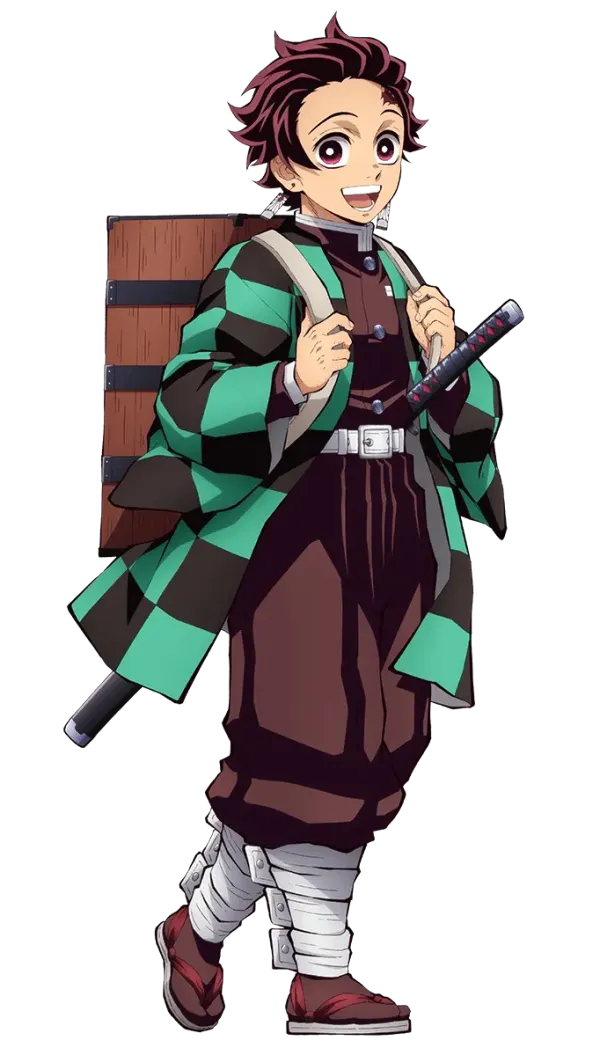 All Demon Slayer Arcs in Order: Complete Manga & Anime Guide (2026)