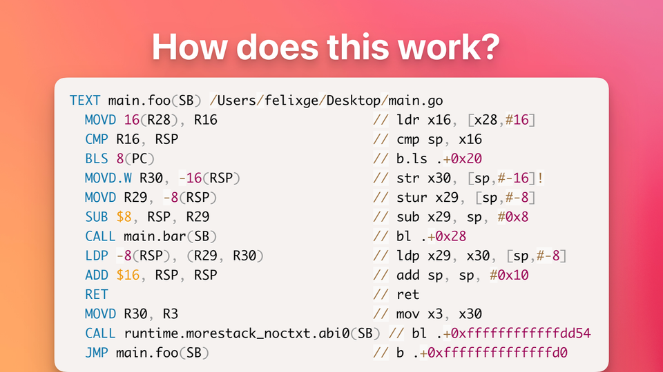 Go arm64 Function Call Assembly