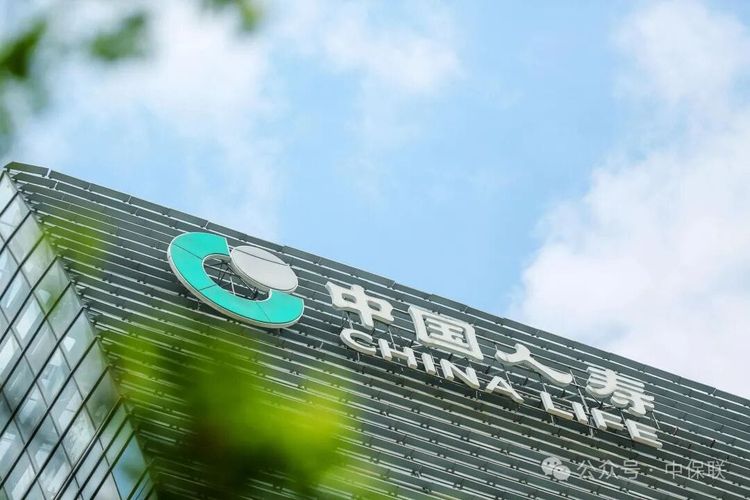 中国人寿总裁回应四季度巨亏137亿