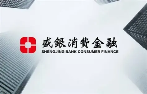盛银消费金融外包催收服务，公司近年逾期贷款规模攀升