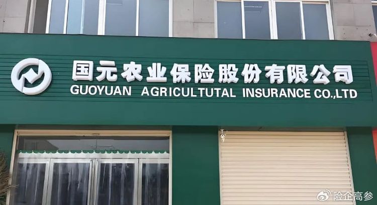 9%员工股挂牌寻资！“模范生”国元农险何以沦为股权货架上的滞销品？