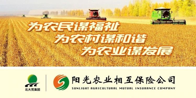 半年度亏损叠加北大荒经营承压，阳光农险启动三年亏损机构治理
