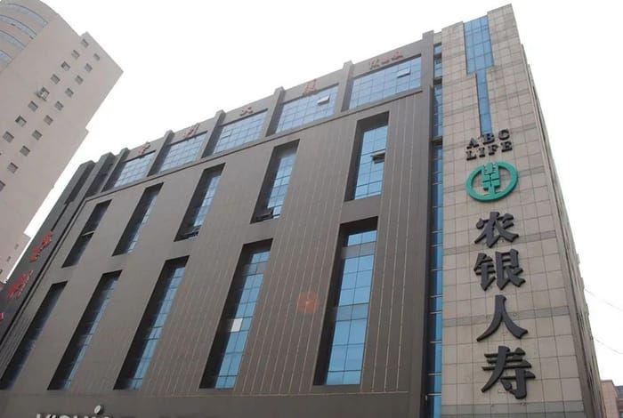 农银人寿借母行乘风，却困于基层乱局