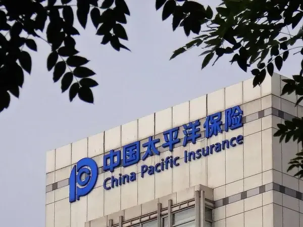 异地垫资代投断链引爆退保大面积踩踏，太平洋保险流程失控遭拷问