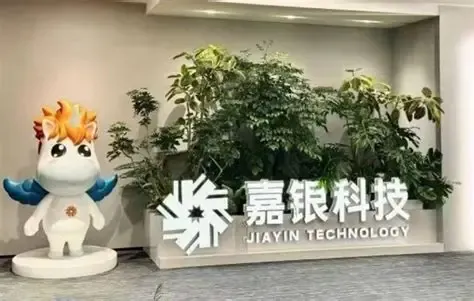 嘉银科技（JFIN）暴跌28%，需要直面困难时刻