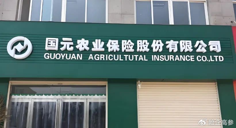 9%员工股挂牌寻资！“模范生”国元农险何以沦为股权货架上的滞销品？