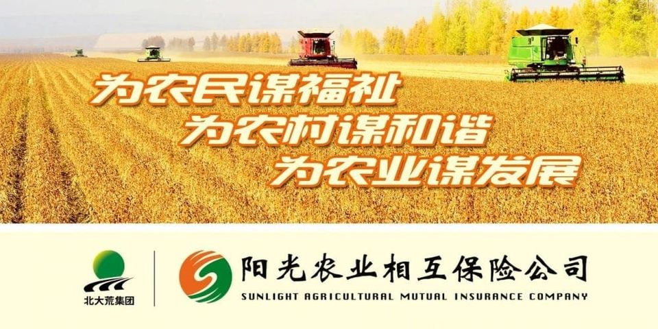 半年度亏损叠加北大荒经营承压，阳光农险启动三年亏损机构治理