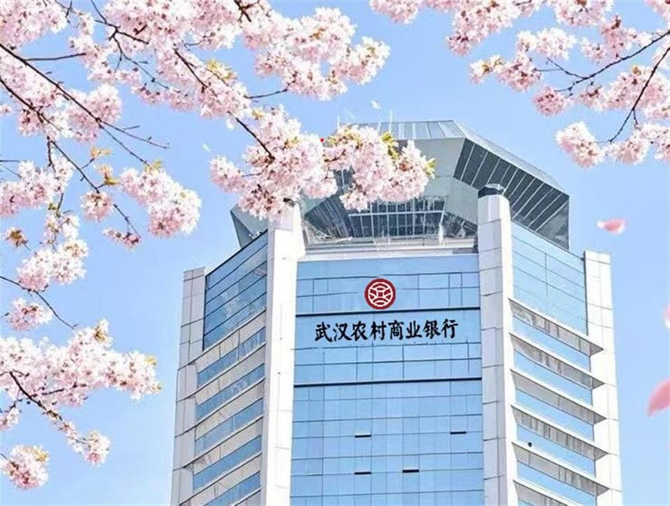 武汉农商行首任董事长被查，首届班子“三巨头”全进去了