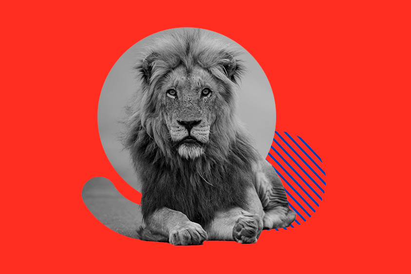 Como fica o IRRF na DCTFWeb de maio/2023?