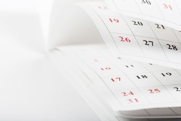 eSocial simplificado: implantação do novo eSocial tem nova data