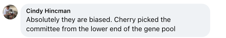 Comment from Cindy Hincman that reads, "Absolutely they are biased. Cherry picked the committee from the lower end of the gene pool.