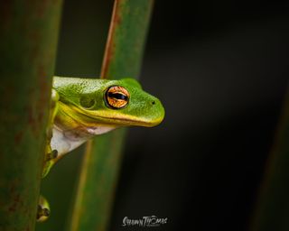 A Macro morning Adventure