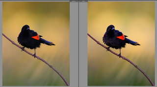 Lets Edit a Photo - Finishing the Subject (Part 2)