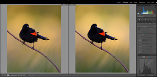 Lets Edit a photo - Building the Background (Part 1)