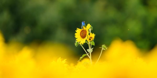 From Soggy Shoes to Sharp Shots