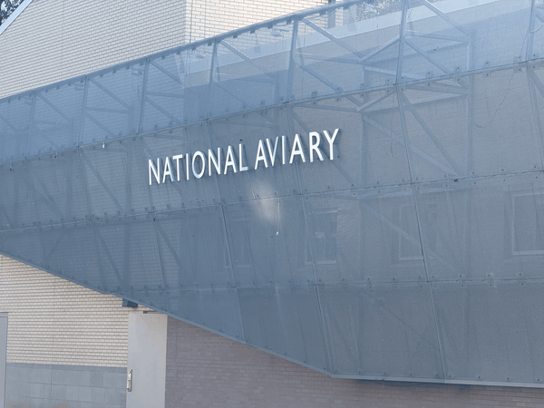 A Trip to the National Aviary