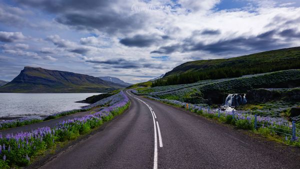 Across Iceland with the Fuji GFX 100 RF - A Review