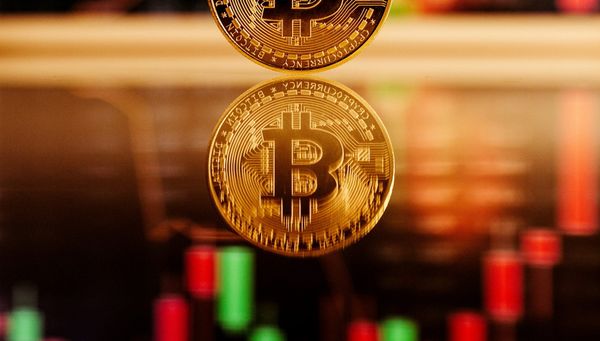 In Alpha Arena, Stability Beat Intelligence