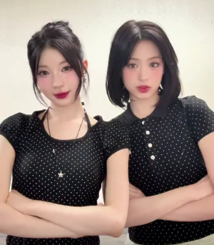 multiple video face swap tool