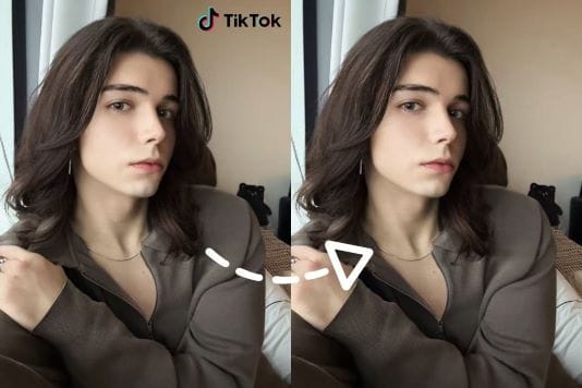 TikTok watermark remove