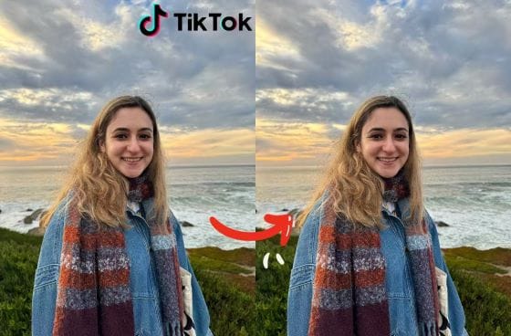 TikTok watermark remove