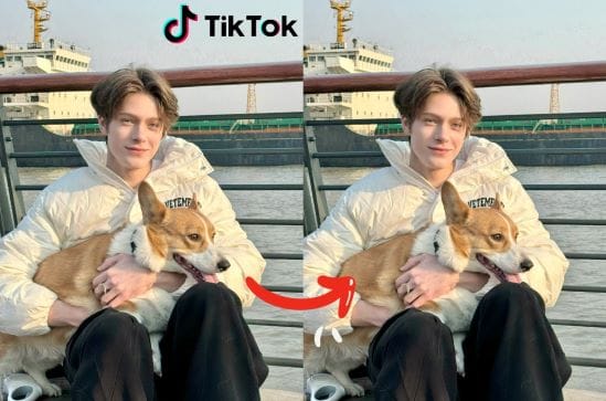 TikTok watermark remove