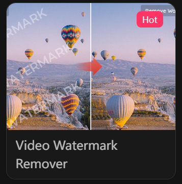 video watermark remover