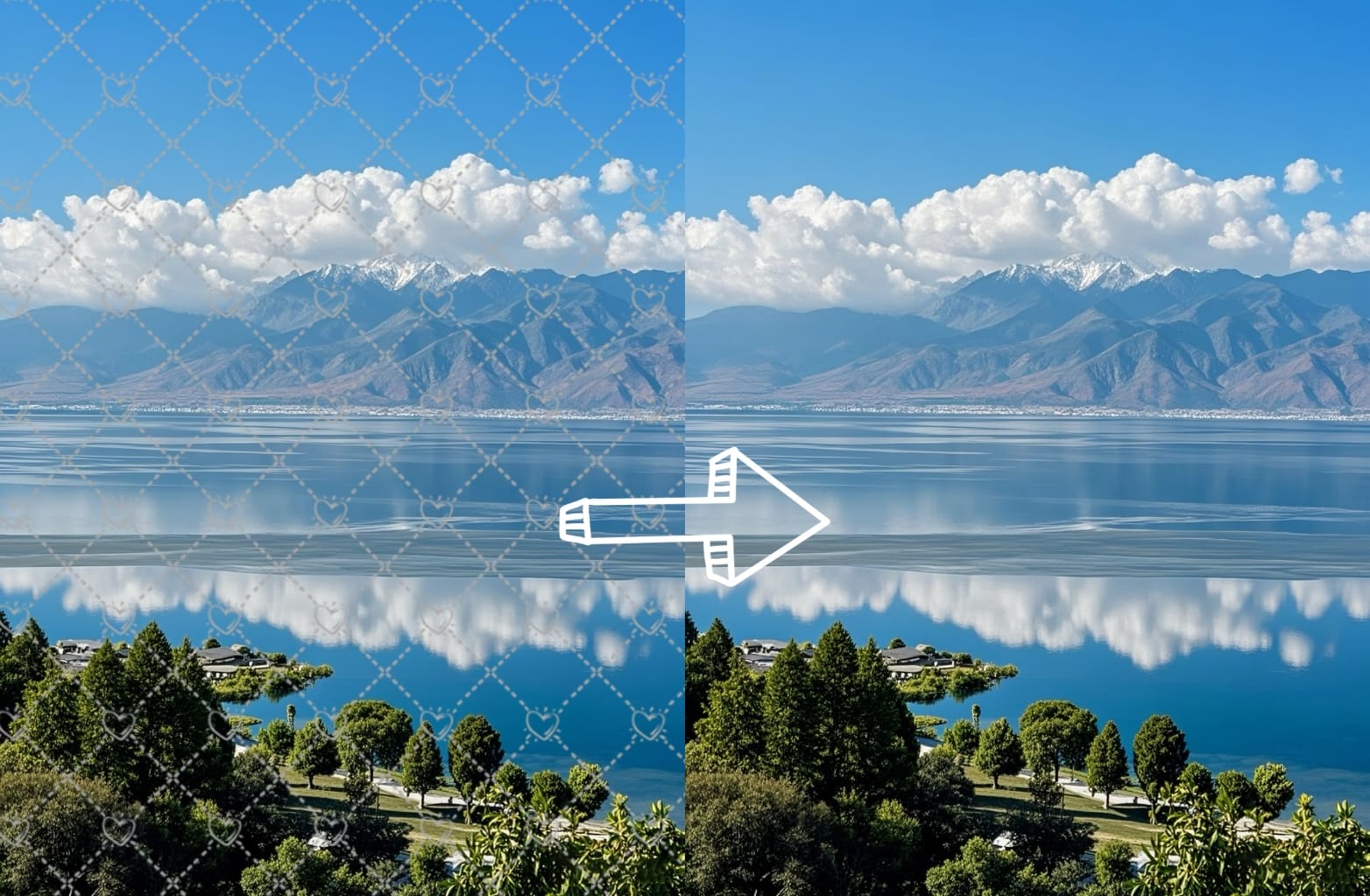 video watermark remove