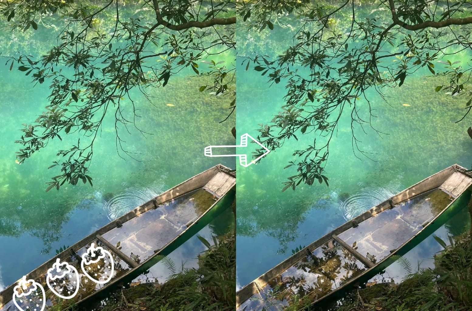 video watermark remove