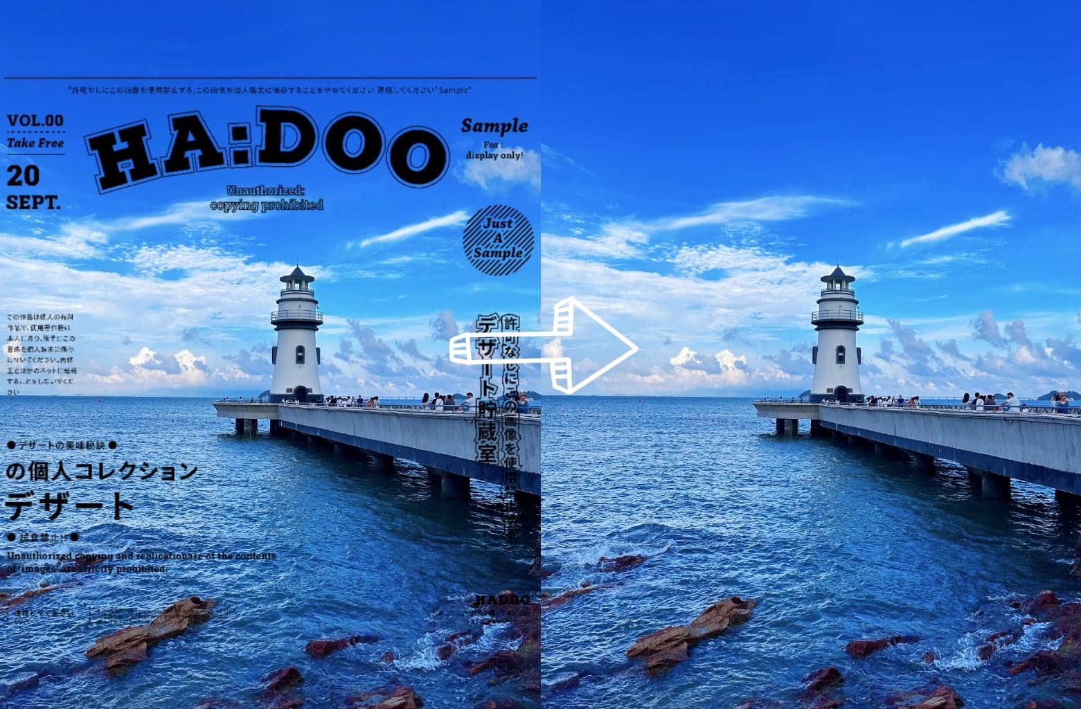 video watermark remove