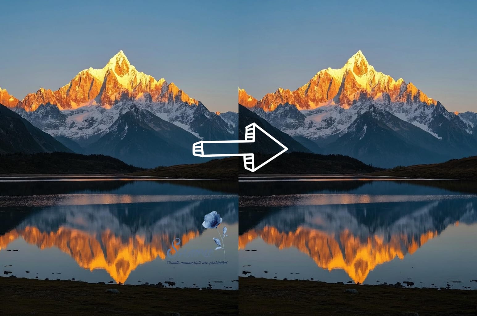 video watermark remove