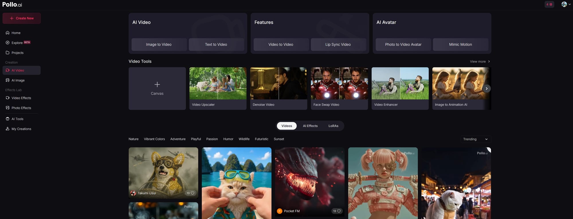 Pollo AI – Limited Video Capabilities