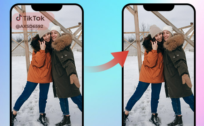 remove TikTok watermark online free