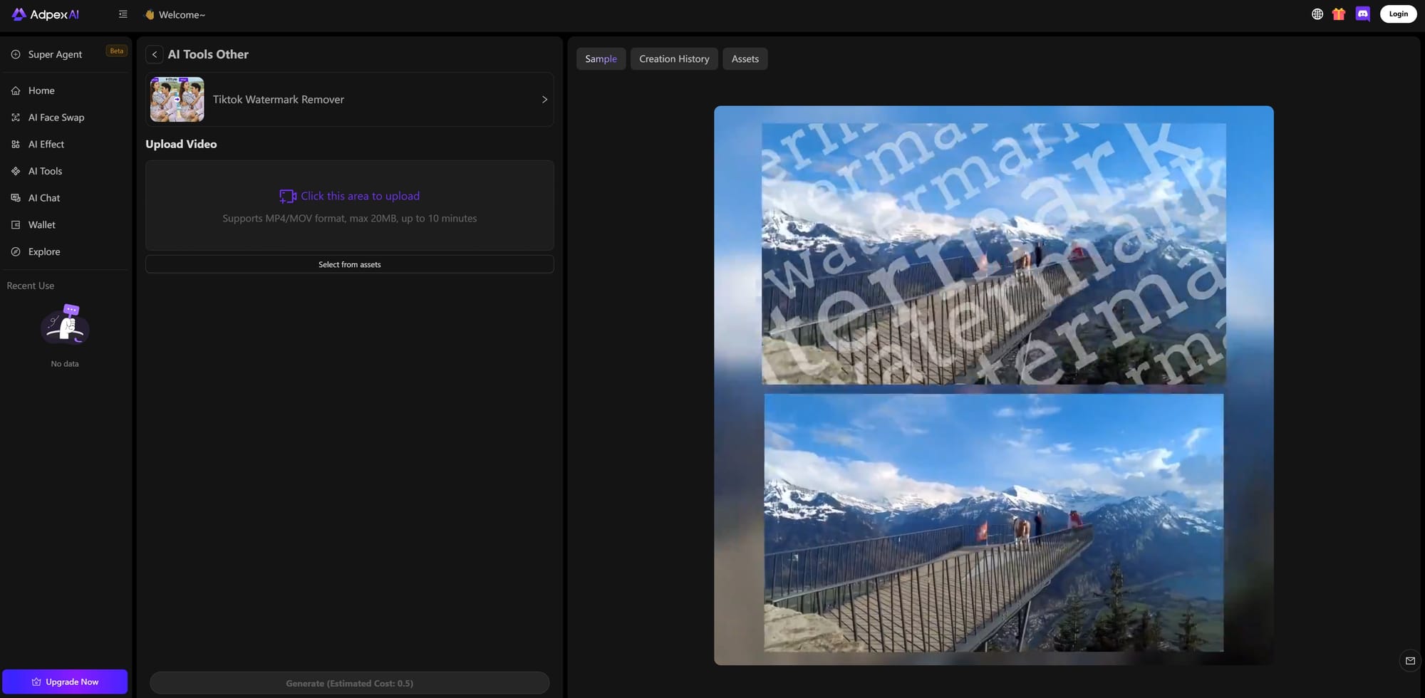 Tiktok Watermark Remover