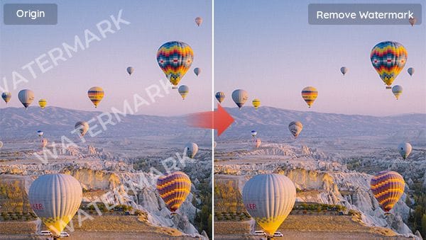 Video Subtitle Remover