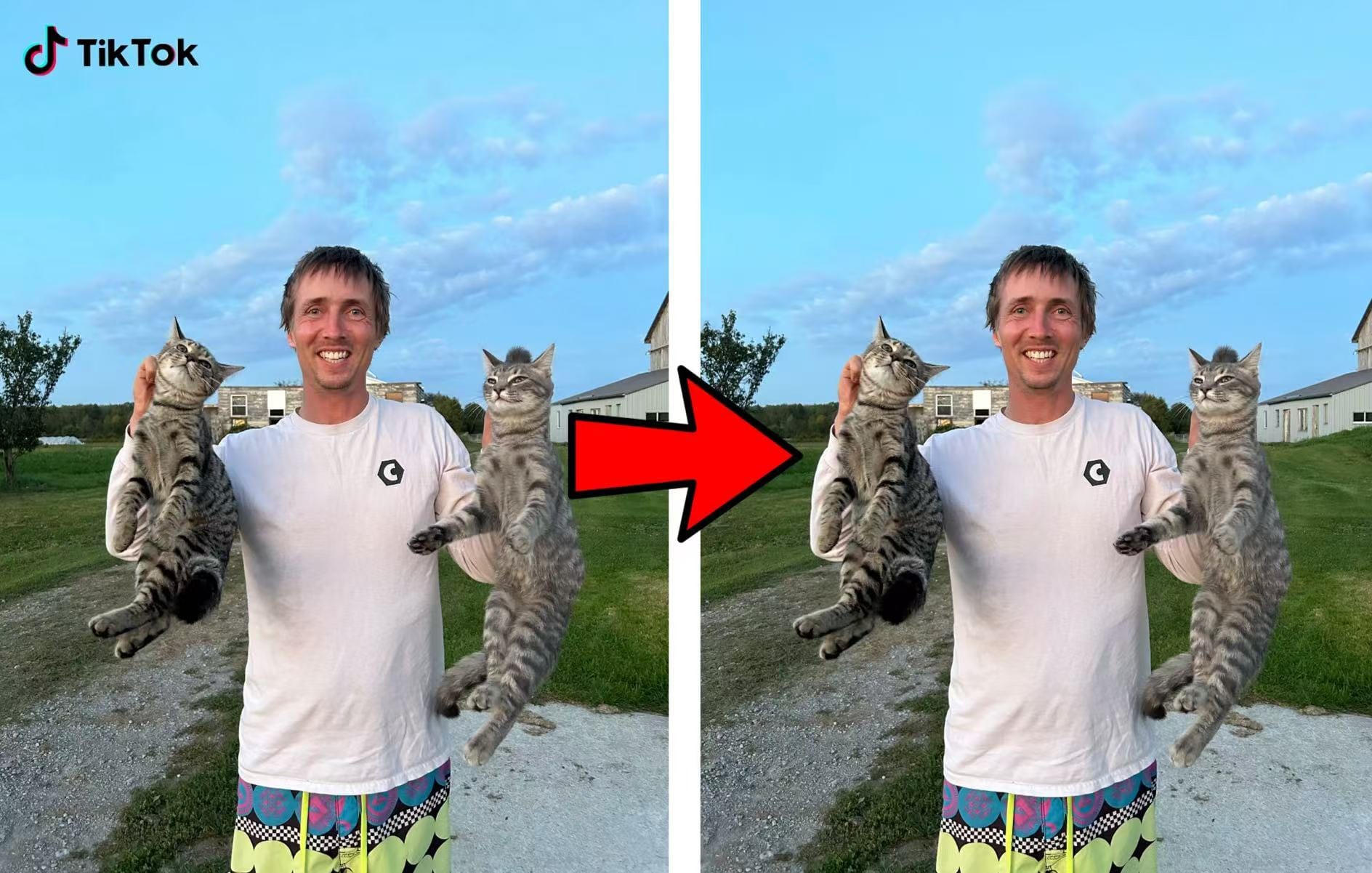 TikTok watermark remover