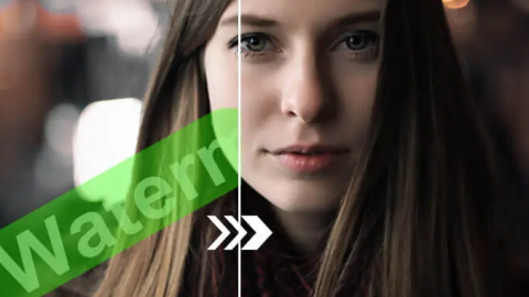 Remove Captions Photo